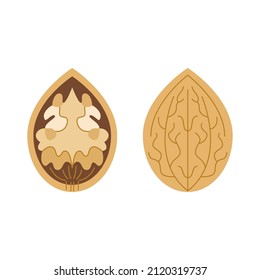 Walnut with shell and kernel in geometric flat style. Vector organic healthy snack. Diet food on white background