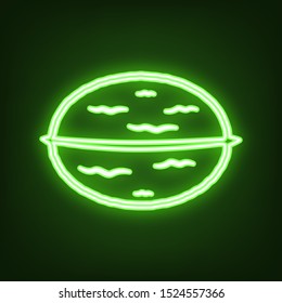 Walnut in shell sign. Green neon icon in the dark. Blurred lightening. Illustration.