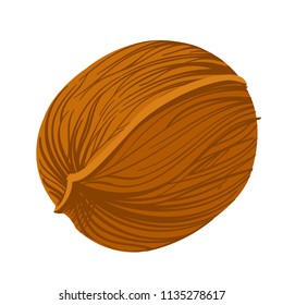 Walnut in the shell. Vector illustration isolated on white background for packaging design, labels and much more.