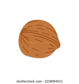 Walnut in shell, whole fruit in husky hardshell cartoon icon. Vector garnish high protein snack, walnut edible seed of drupe, nutrition organic food dessert