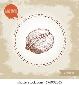 Walnut sketch hand drawn. Eco and super food on vintage background. Vector illustration.