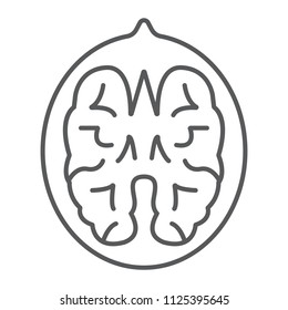 Walnut thin line icon, vegetable and nut, vegetarian sign, vector graphics, a linear pattern on a white background, eps 10.
