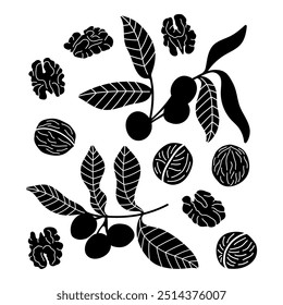 Walnut and tree branches silhouette stencil templates hand drawn vector cliparts