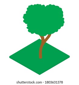 Walnut tree icon. Isometric illustration of walnut tree vector icon for web