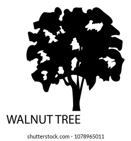 Walnut Tree Icon. Simple Illustration Of Walnut Tree Vector Icon For Web