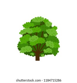 Walnut Tree Isolated On White Background. Vector Cartoon Illustration Sapling For Forest Landscape. Environment Elements In Flat Style