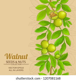 walnut vector background