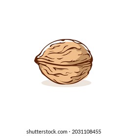 Walnut Nuts Vector Hand Drawn Illustration Artistic Colorful Sketch Food  Stock Illustration - Download Image Now - iStock