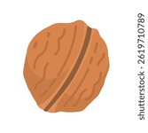 Walnut vector flat icon. Cartoon illustration of whole nut in shell and kernel.