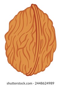 Walnut vector flat icon. Cartoon illustration of whole nut in shell. Omega-3 product