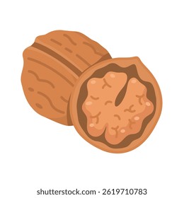 Ícone plano do vetor de noz. Ilustração em desenho animado de noz inteira com casca e núcleo.