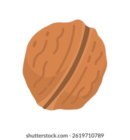 Ícone plano do vetor de noz. Ilustração em desenho animado de noz inteira com casca e núcleo.