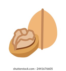  Walnut, vector flat illustration. Healthy food and vitamins. 