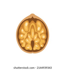 Walnut vector icon. Flat illustration of half nut.