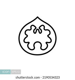 Icono vectorial de nuez. Símbolo gráfico del sitio web de comida y bebida, diseño de aplicaciones, aplicaciones móviles y medios impresos, logotipo, interfaz de usuario