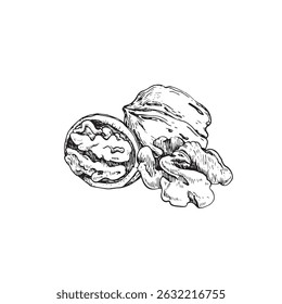 Mão de ilustração vetor de noz desenhada com tinta. Composição em preto e branco com frutos secos inteiros e cortados. Modelo para o desenho do rótulo