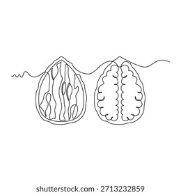 Ilustração de vetor de noz. arte de linha, uma linha contínua, simples, desenhado à mão e estilo de esboço. para ícones, símbolos, sinais ou logotipos