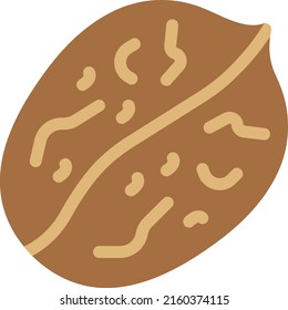 ilustración de vector de nueces en un fondo transparente. Símbolos de calidad superior. Iconos vectoriales de color de línea para el concepto y el diseño gráfico.