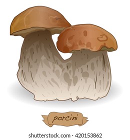 Walnut vector isolated image on the white