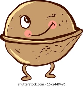 Walnut winkling, illustration, vector on white background.