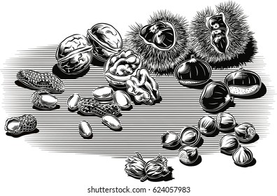 Walnuts, chestnuts, hazelnuts and peanuts, scattered on a floor.