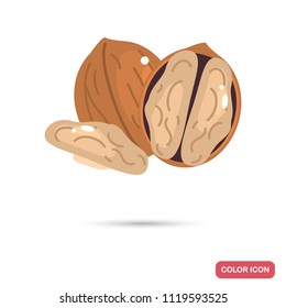 Walnuts color flat icon
