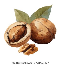 Walnuts with cracked shell and kernel