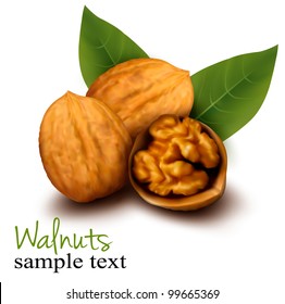 Walnuts and a cracked walnut. Vector illustration.
