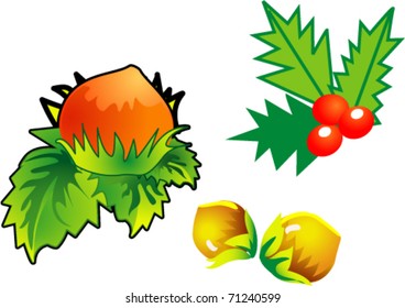 Walnuts of different species and wild berry