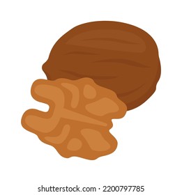 Walnuts Healthy Food. Vector Illustration