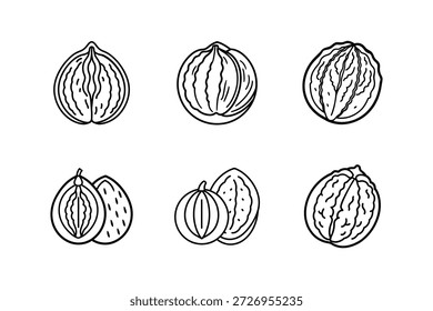 nozes ícone linha arte vetor ilustração isolado