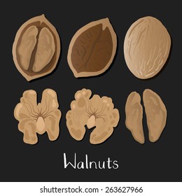 Walnuts illustration set