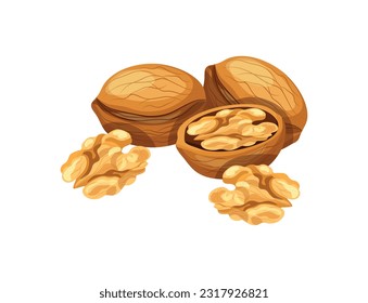 
Walnuts isolated on white background. Vector illustration of a delicious handful of peeled and shelled walnuts in cartoon style. Walnut icon. Healthy, organic snacks.