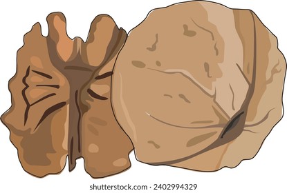 Walnuts isolated on white background