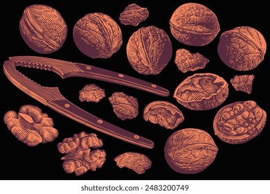 
Walnuts and nutcracker. Design set. Editable hand drawn illustration. Vector vintage engraving. Isolated on black background. 8 EPS
