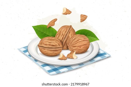 Walnuts in plate vector illustration with walnut kernel and pieces 