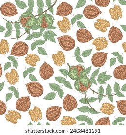 Walnuts seamless pattern. Hand drawn Walnut tree nuts and leaves. Vector illustration in vintage style.