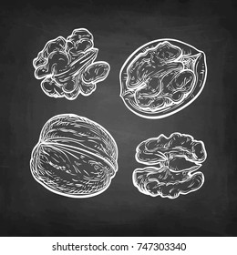 Walnuts set. Chalk sketch on blackboard background. Hand drawn vector illustration. Retro style.