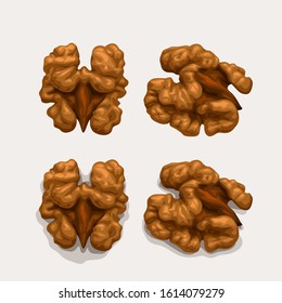 walnuts set isolated on white