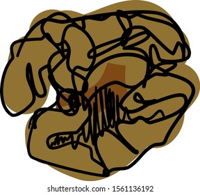 Walnuts sketch, illustration, vector on white background.