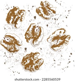 Walnuts vintage texture vector. Ink abstract drops background