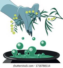 Walpurgis Night - witch hand with blue skin and sagebrush and boiler with green magic potion