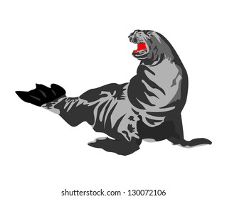 Walrus