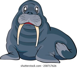 Walrus