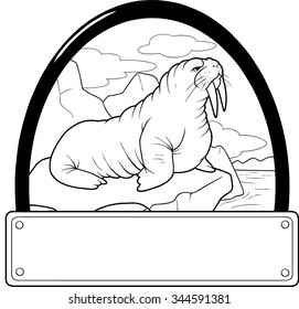 walrus