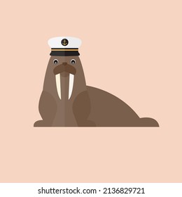 walrus animal with captain hat sailor vector on pink background flat design wildlife beast