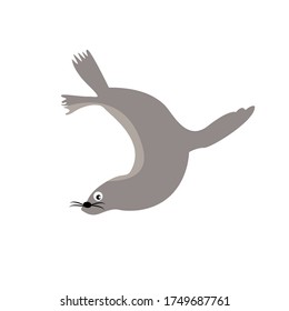 Walrus Animal Cartoon Vector Illustration

