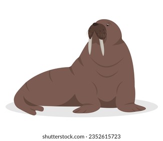 Walrus animal isolated on white background. Sea or ocean water mammal animal. Walrus icon. Nature Vector flat or cartoon illustration.