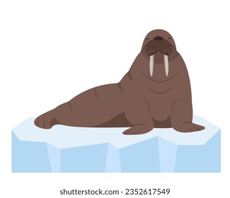 Walrus animal on ice. Sea or ocean water mammal animal. Walrus icon. Nature Vector flat or cartoon illustration isolated on white background..