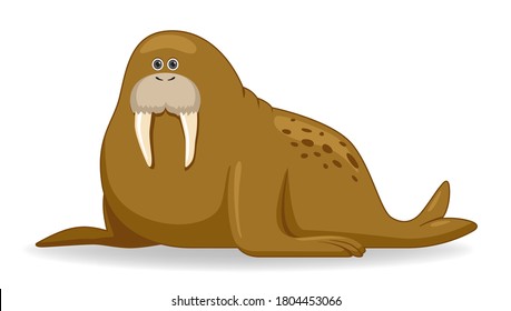 Walrus animal standing on a white background. Cartoon style vector illustration